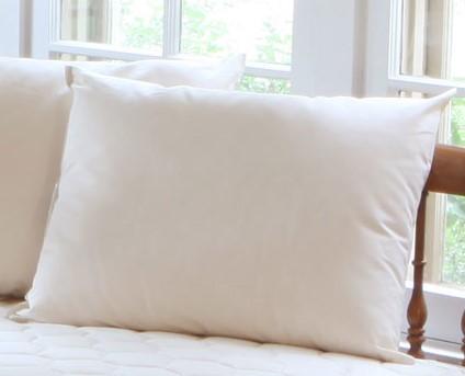 Organic Cotton Pillow